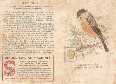 The back of a British Singer series bird trade card, featuring the Bullfinch